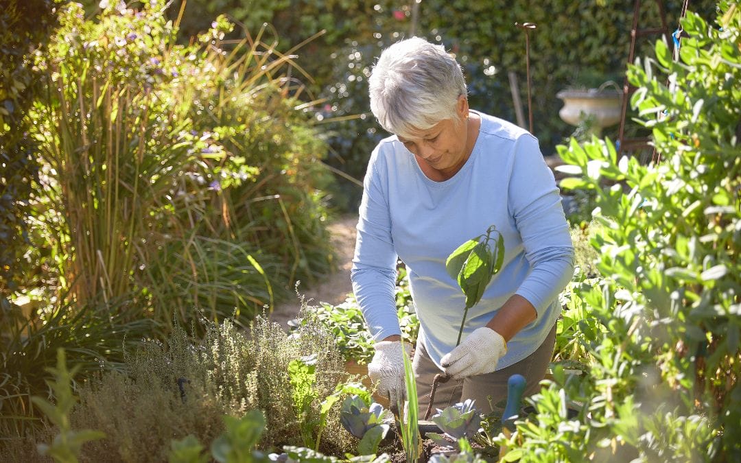 senior woman gardening outdoors