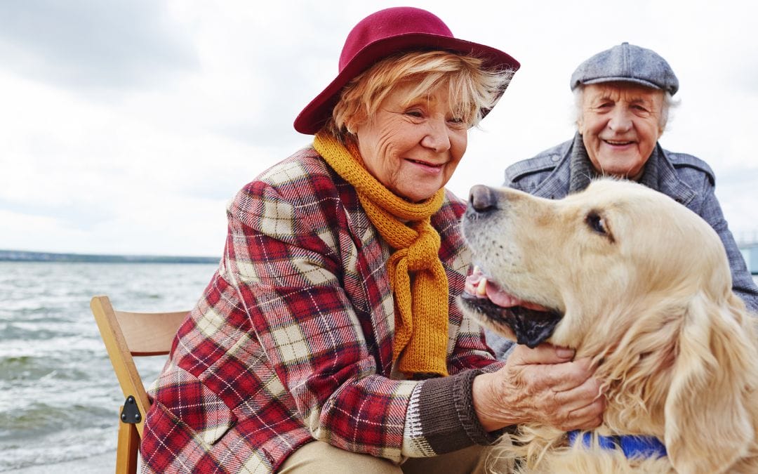 Retired senior couple playing with dog at beach