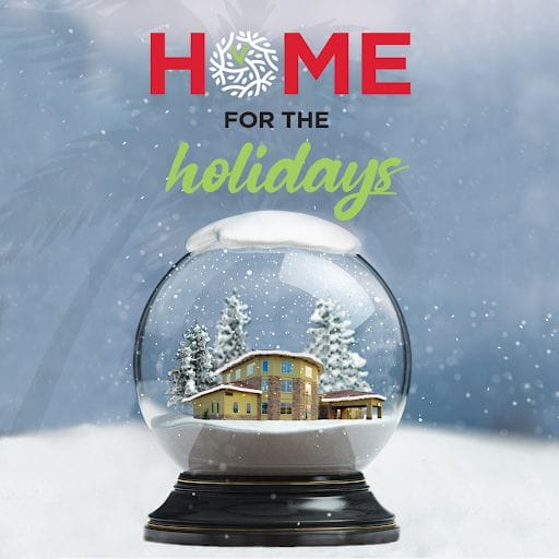 Home for the Holidays Infographic